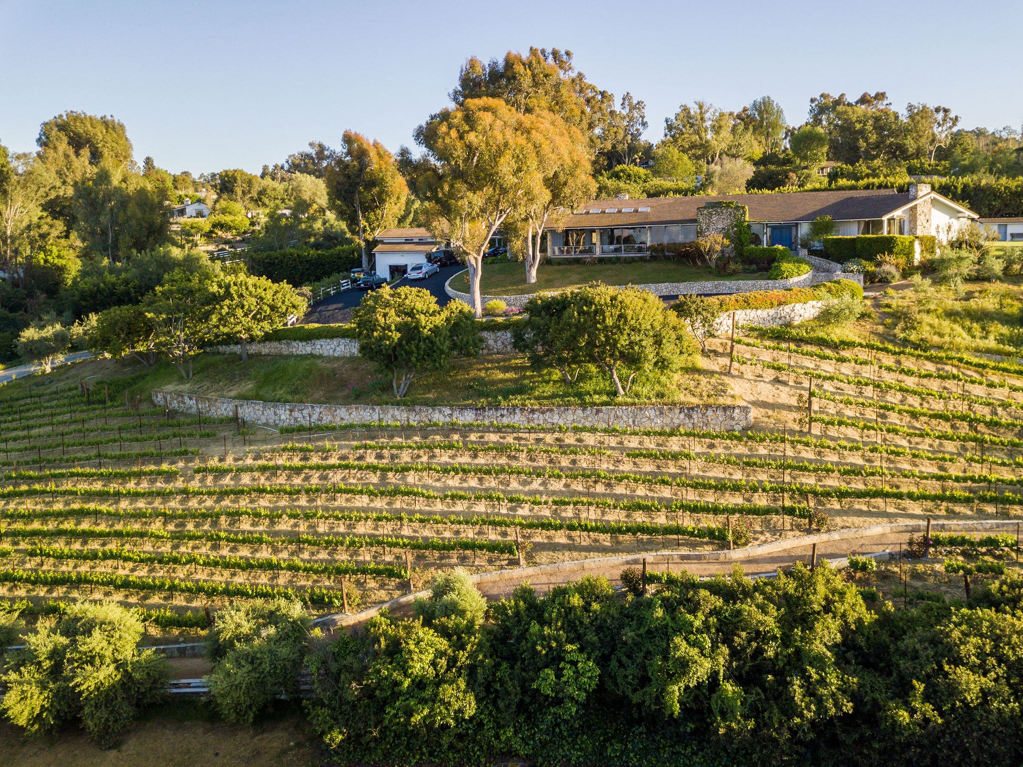 Perfect Pairing: L.A.-Area Wine And Olive Oil Estate Aims For $16.5 Million