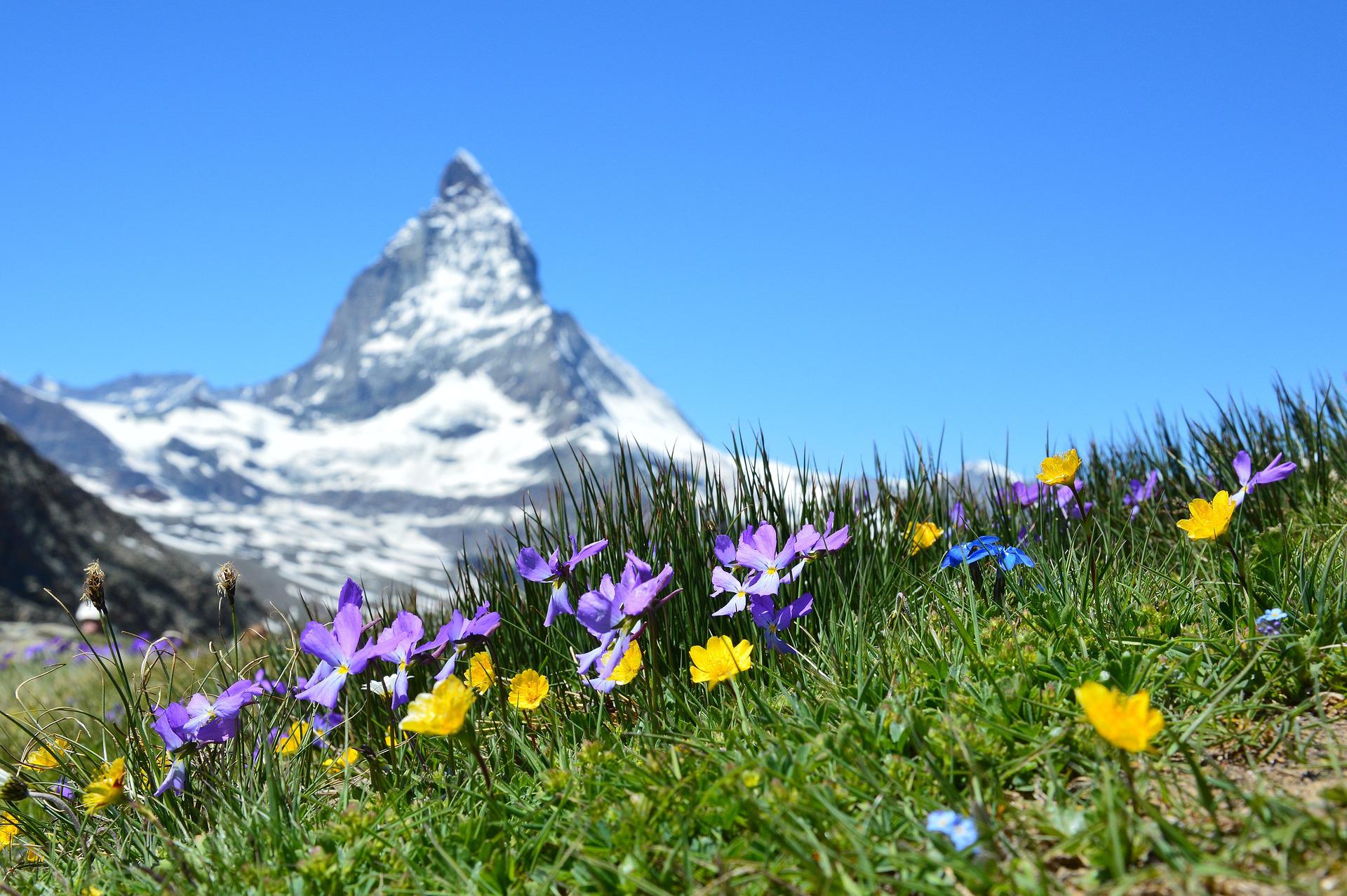 How Do I Get a Residence Permit In Switzerland?