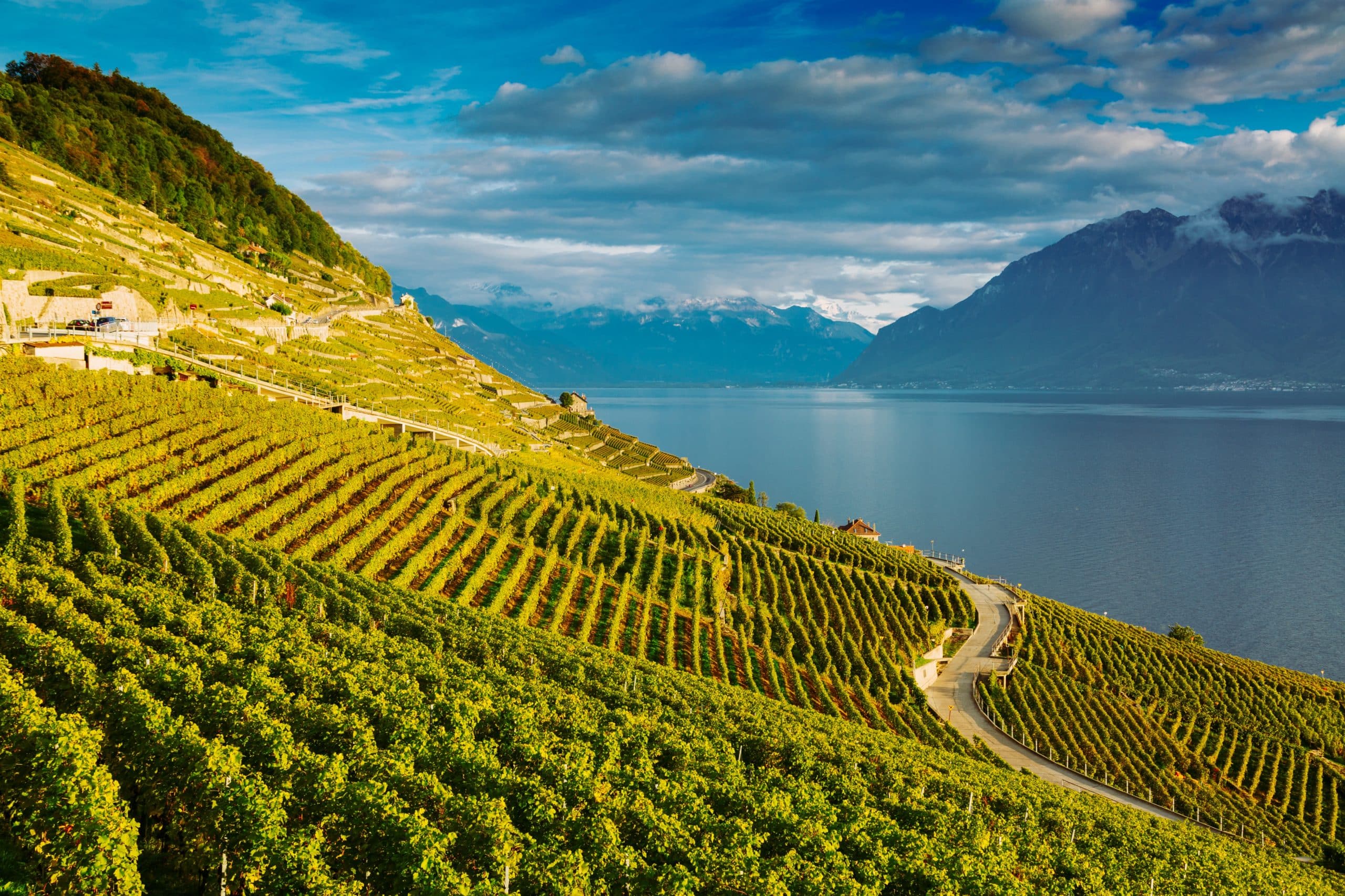 Région de La Côte, en Suisse, villa de luxe