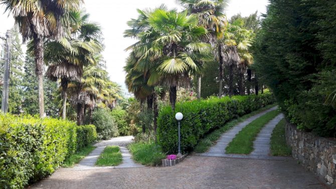 Photo 6 of the property 2494603 - historische villa mit nebengebäude, park und pool zum verkauf in luino am lago maggiore